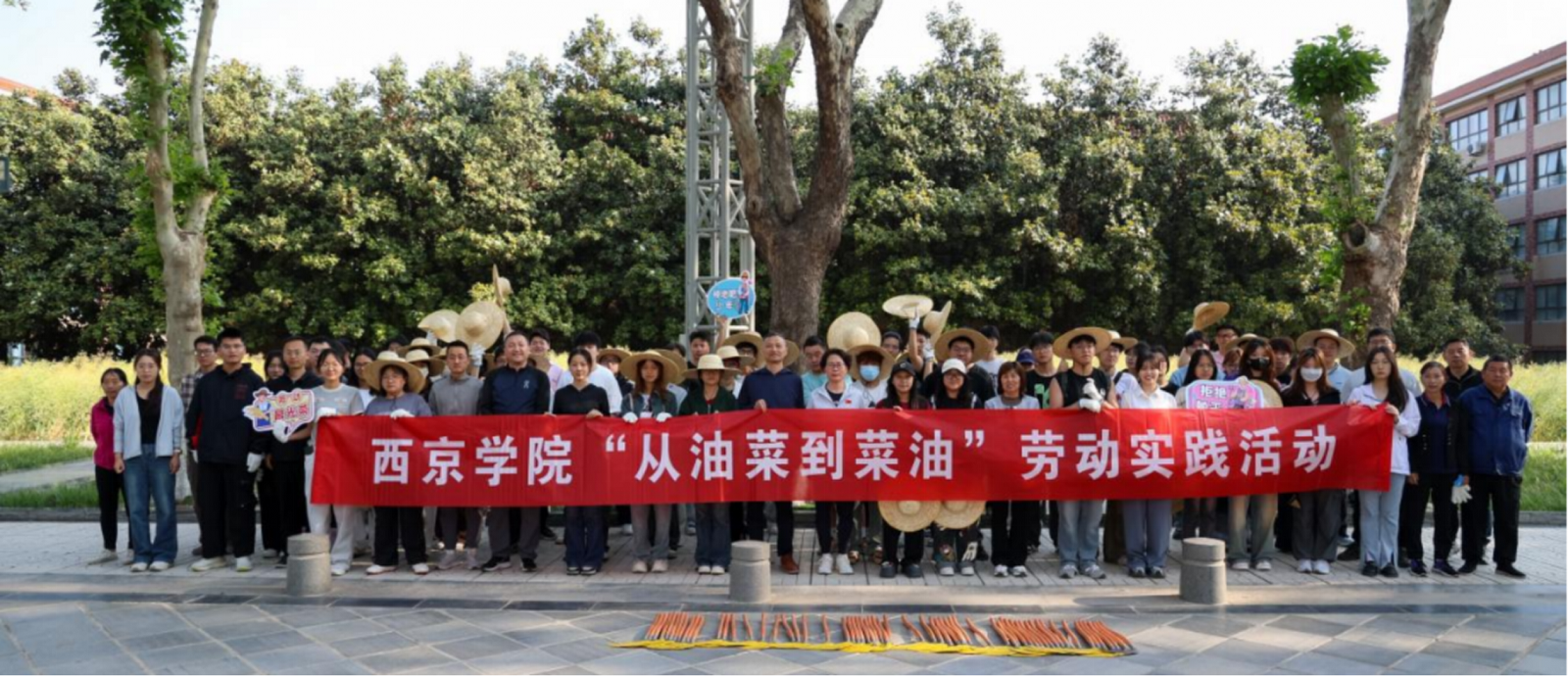 开展劳动实践活动,践行劳动精神。